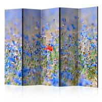 biombo - a sky-colored meadow - cornflowers ii room dividers