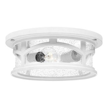Plafón de techo marblehead (2 luces)