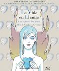 la vida en llamas
