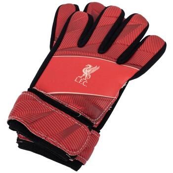 Liverpool Fc Complemento deporte 8 TA13282 para niño