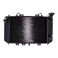 refrigerador motor bmw g 310 agua