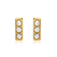 pendientes de plata 925 banada en oro con perlas