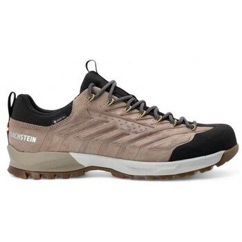 Dachstein Zapatillas SF-21 GTX para hombre