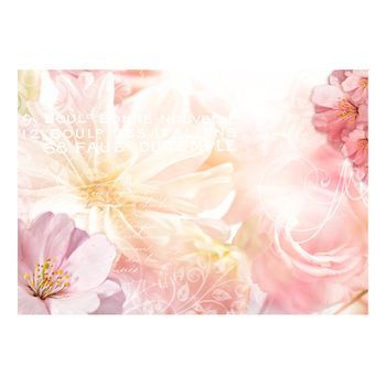 Papel Pintado 3d - Romantic Message (250x175 Cm)
