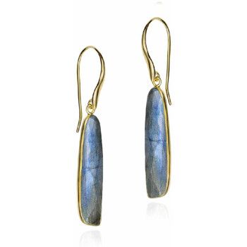Jorge Revilla Pendientes Pendientes de gancho con labradorita en baño de oro 18k para mujer