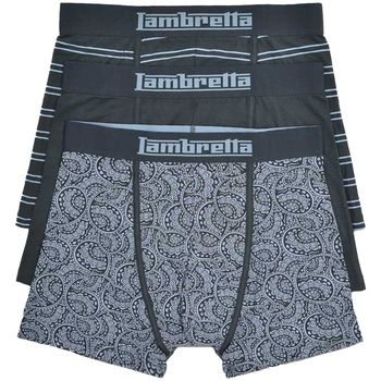 Lambretta Boxer LB385 para hombre