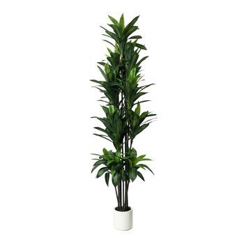 Planta Artificial Dracaena De 250 cm