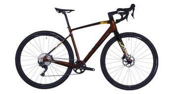 Bicicleta de gravilla wilier triestina jena shimano grx 11s 700 mm patron bronce 2024