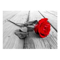 papel pintado 3d - abandoned rose 350x245 cm