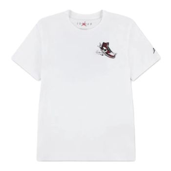 Camiseta Air Jordan Has Landed Junior