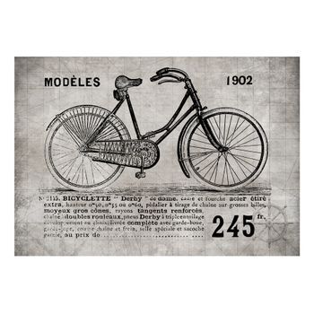 Papel Pintado 3d - Bicycle (vintage) (250x175 Cm)