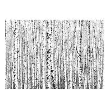 Papel Pintado 3d - Bosque Del Abedul (150x105 Cm)