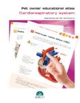 pet owner educational atlas cardiorespiratory system