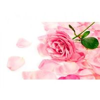 cabecero cama rosa petalos 200 x 60 cm