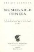 numerable ceniza premio de poesia consejeria de cultura 1999 c antabr