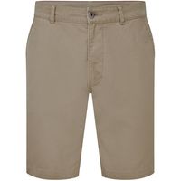asquith  fox short aq051 para hombre