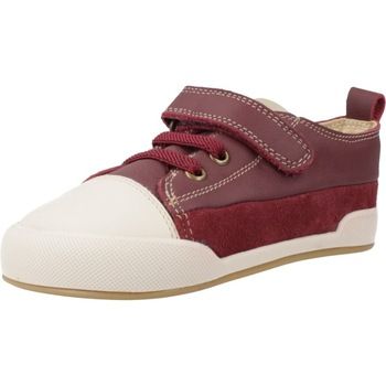 Blanditos Deportivas Moda Galeonbd para niño