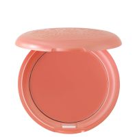 stila convertible colour - gerbera