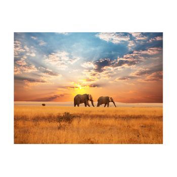 Papel Pintado 3d - Elefantes Africanos En Sabana (400x309 Cm)
