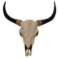 decoracion de pared cabeza de toro trofeo cuerno largo de 45 cm en poliresina natural interiorexterior 040002848