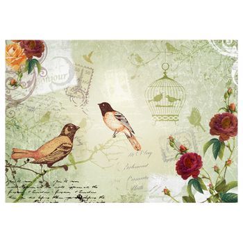Papel Pintado 3d - Vintage Birds (350x245 Cm)