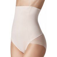 secrets silhouette plus size high waisted briefs