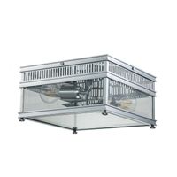 plafon de techo holborn 2 luces
