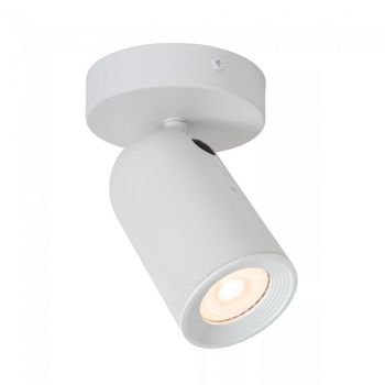 Foco de techo orientable punch