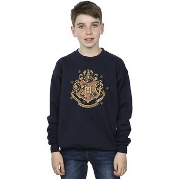 Harry Potter Jersey BI20418 para niño