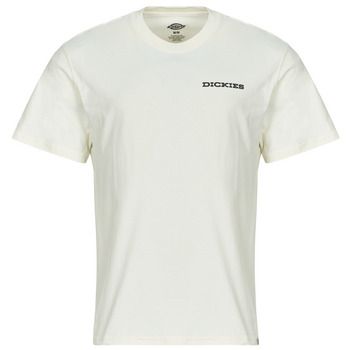 Dickies Camiseta LANDASCAPE SS TEE para hombre