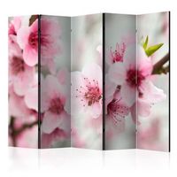 biombo - spring blooming tree - pink flowers ii 225x172 cm