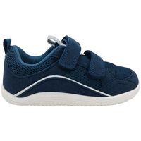 gioseppo zapatillas zapatilla deportiva barefoot nino colebrook 74672 para nino