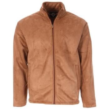Paname Brothers Polar STEVE para hombre