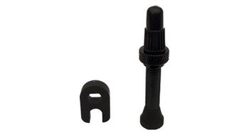Valvula tubeless campagnolo 2 way fit