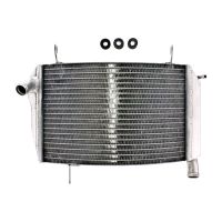 refrigerador motor ducati streetfighter agua alta