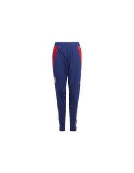 Pantalón adidas Olympique Lyonnais 2024/2025 Tiro24 Training Infantil Azul