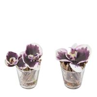 lote de 2 orquideas ilusion de agua artificiales moradas d10