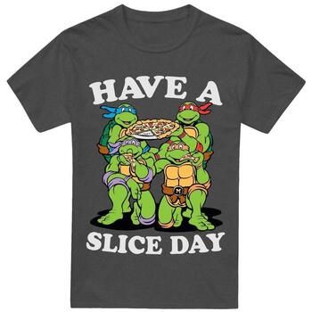 Teenage Mutant Ninja Turtles Tops y Camisetas Have A Slice Day para hombre
