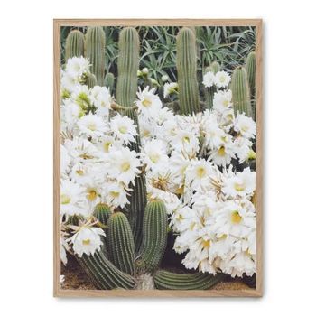 Cuadro Cactus In Flower