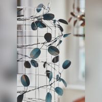 eucalyptus string lights green