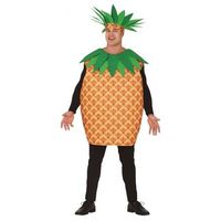 disfraz pina