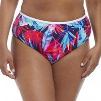 paradise palm classic bikini briefs