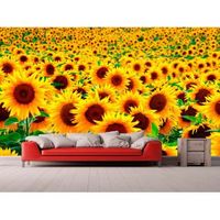 fotomural vinilo campo de girasoles 400 x 300 cm