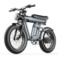 directiva de la ue bicicleta electrica yyg zm21 bateria de 48v 20ah motor de 1200w velocidad maxima recomendada 25kmh