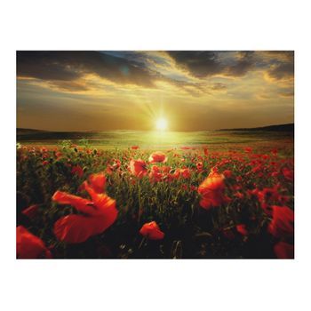 Papel Pintado 3d - Campos De Amapolas Al Amanecer (200x154 Cm)