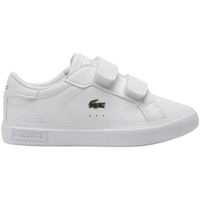 lacoste zapatillas powercourt para nino