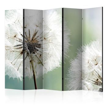Biombo - Two Dandelions Ii (225x172 Cm)