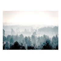 papel pintado 3d - winter forest 400x280 cm