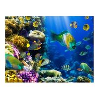 papel pintado 3d - un paraiso submarino 300x231 cm