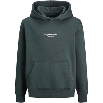 Jack & Jones Jersey 12256770 JORVESTERBRO SWEAT HOOD NOOS MNI FOREST RIVER para niño